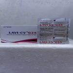 Lavi-CV 625 - Image 3